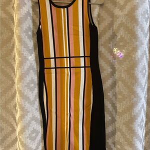 New York and Company Striped Multicolor Sleeveless Dress